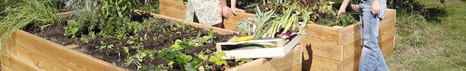 Byg billigt højbed på bare 1 dag